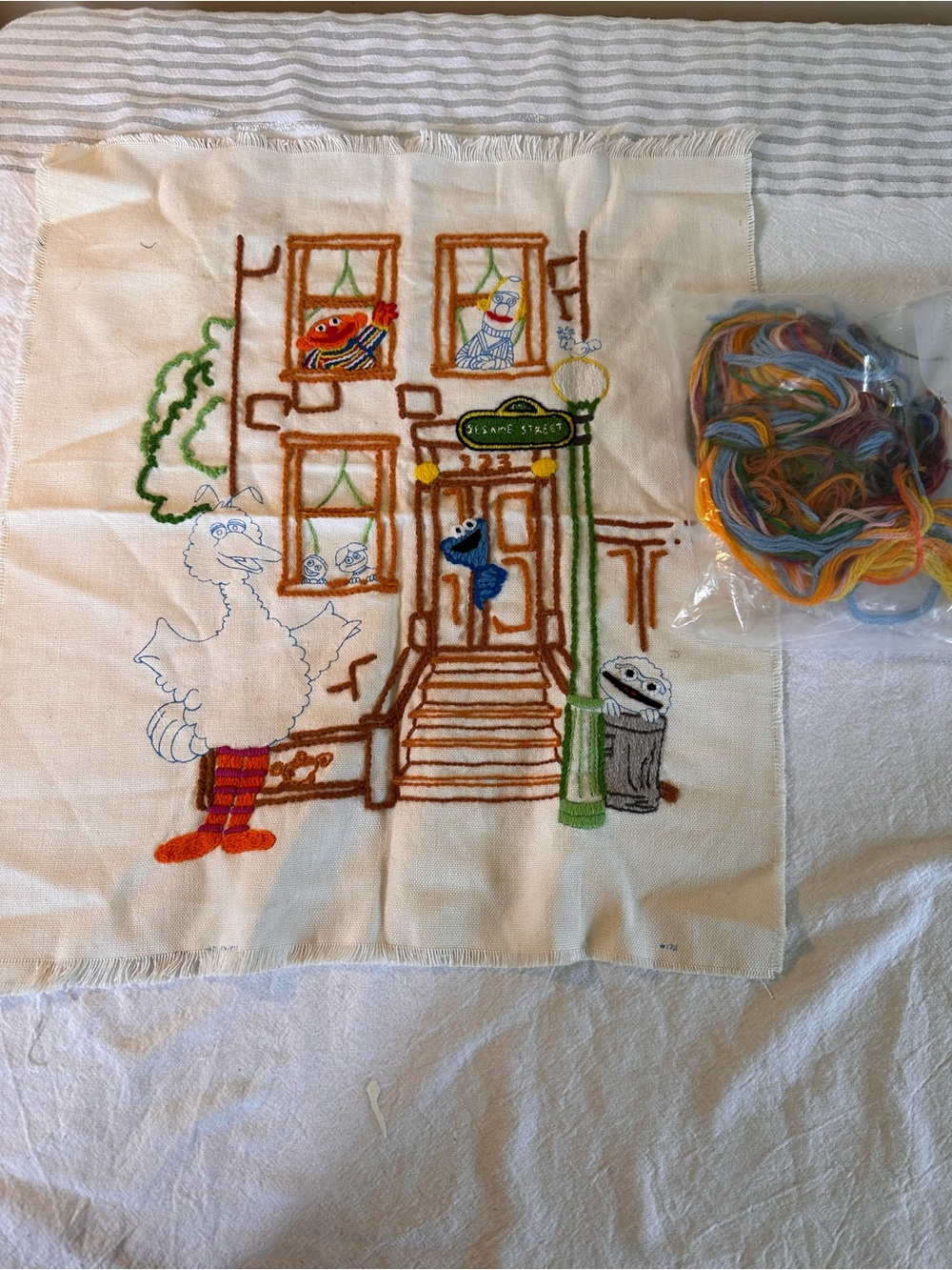 ⭐️ Vintage Sesame Street Unfinished Embroidered Panel with Yarn
